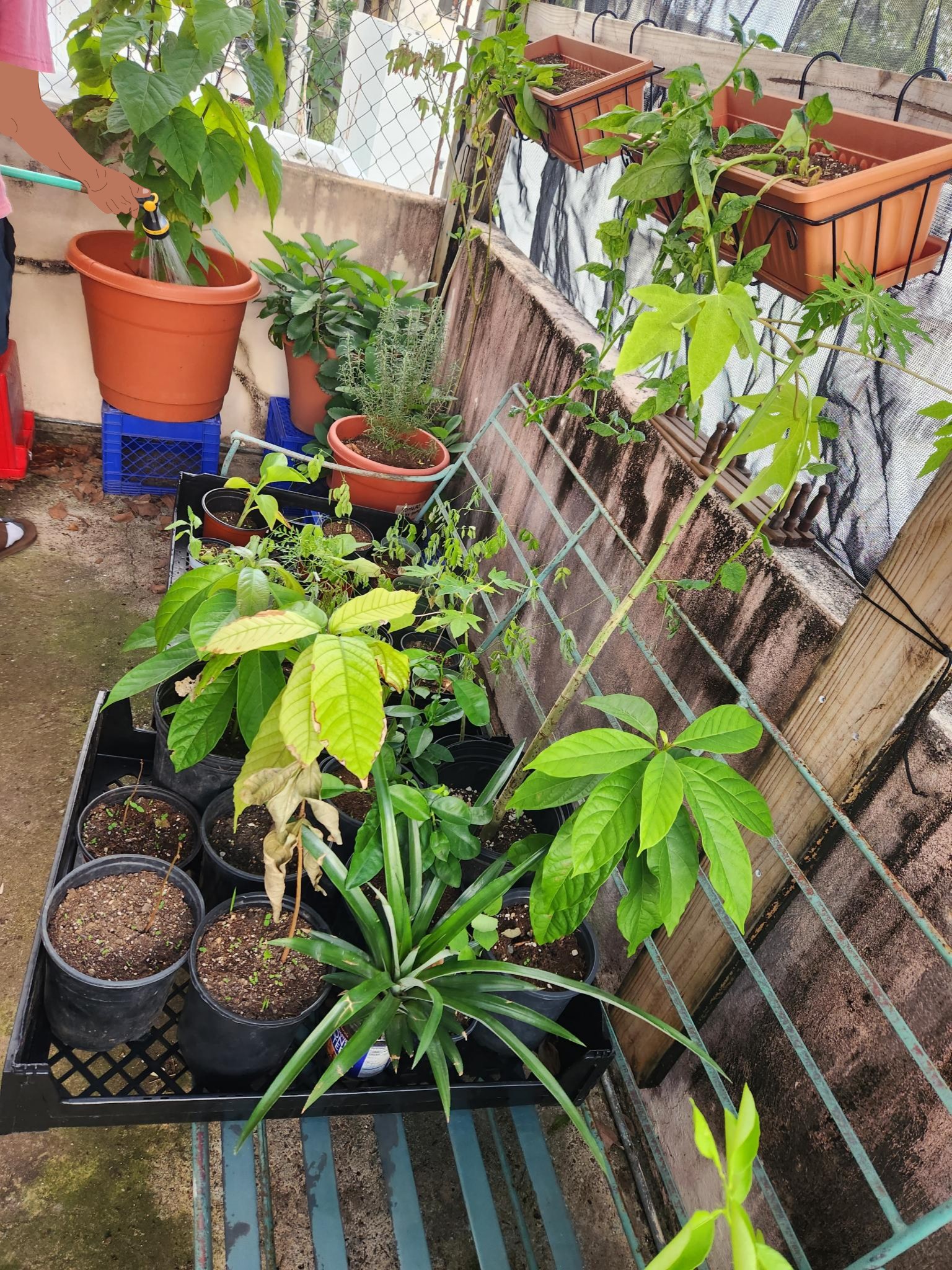 /assets/huertoh/18-e.jpg
