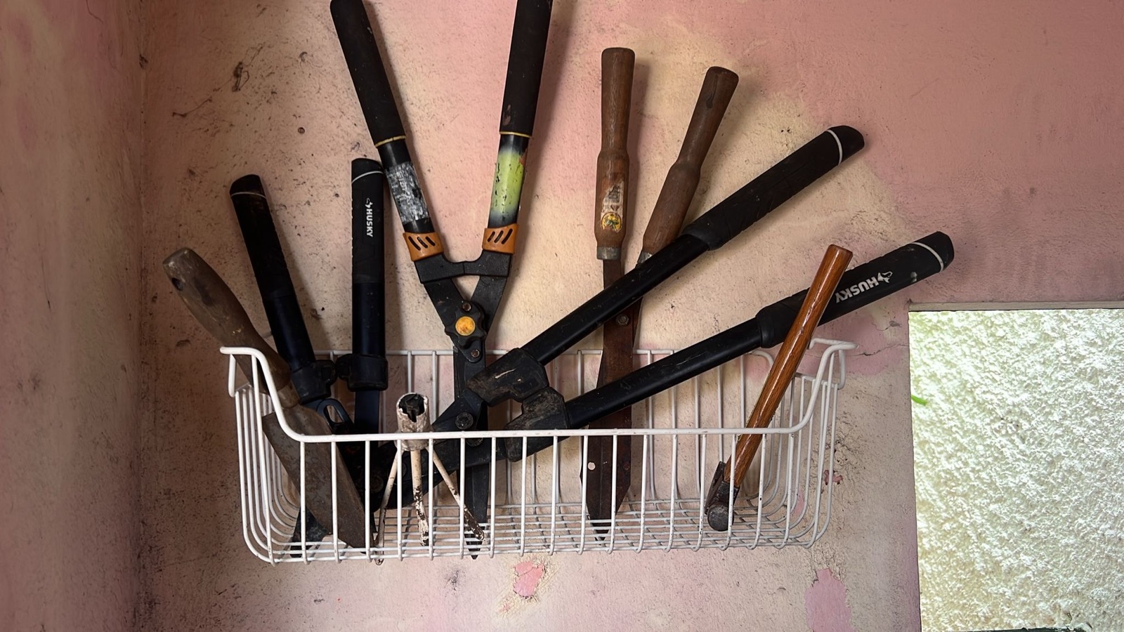 /assets/huertoh/33.jpg