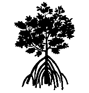 El contorno de un mangle